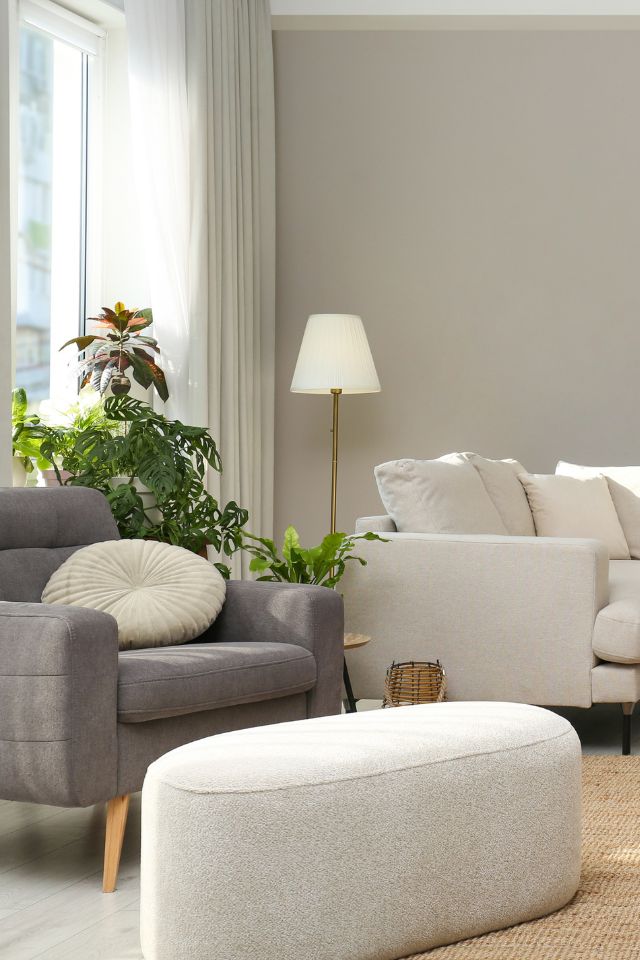 Nobilis Home, conciergerie immobilière à Strasbourg